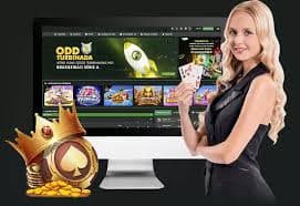 win08 vip